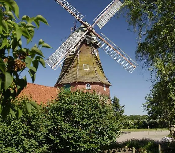 Zur Windrose An Der Windmuehle Labbus
